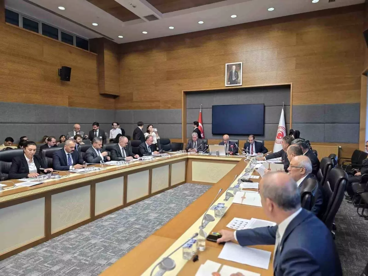 milli parklar kanunu teklifi gorusuldu HSK1GMwX.jpg