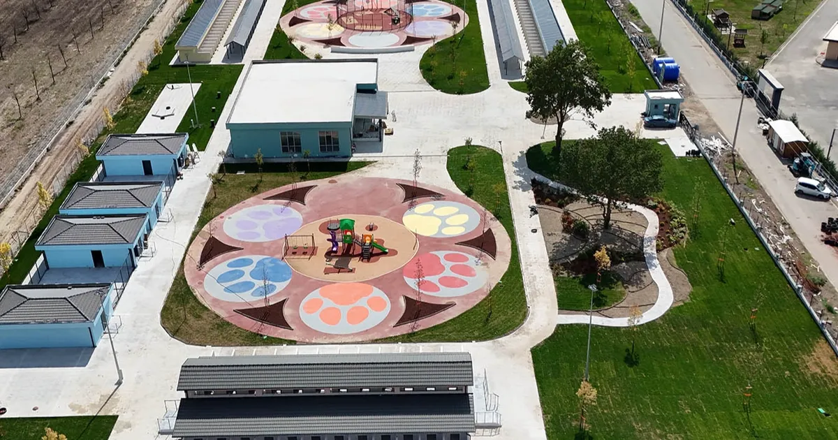 sakaryada sokak hayvanlarina guvenli yuva 48ThZ1pT