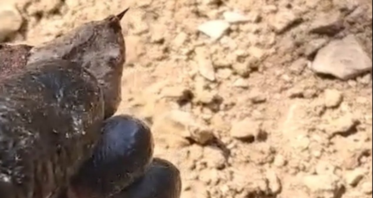A.B.İ. Dizisinden Veda Eden Afra Saraçoğlu’ndan Duygusal Paylaşım