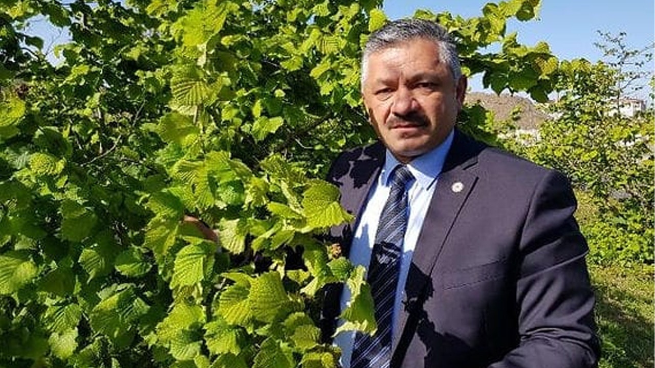 Findik ureticisine erken hasat uyarisi UhZdCTVT